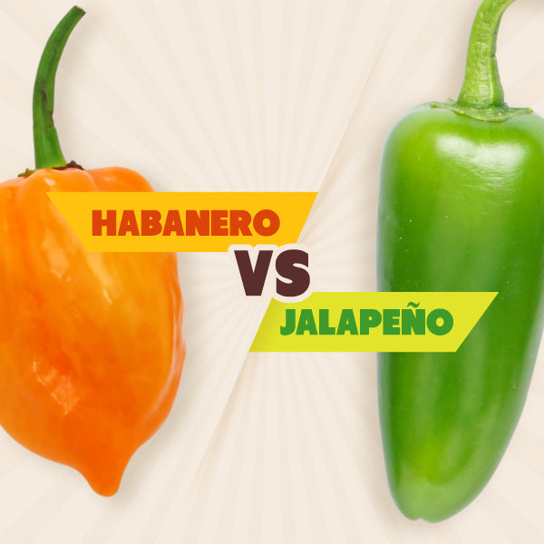 Discover the differences between the habanero vs jalapeno pepper