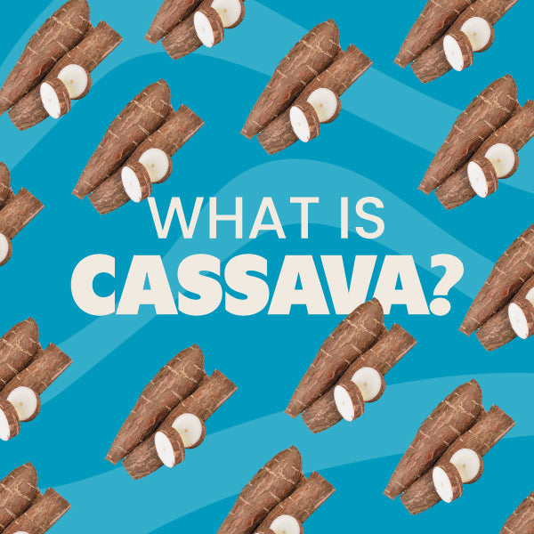 What is Cassava? Your Complete Guide to This Amazing Root Vegetable