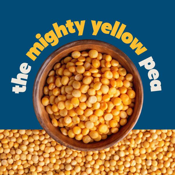 Bowl of yellow peas with text "the mighty yellow pea"