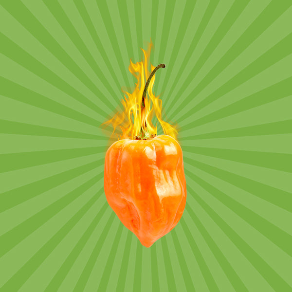 Habanero Pepper: A Comprehensive Guide.