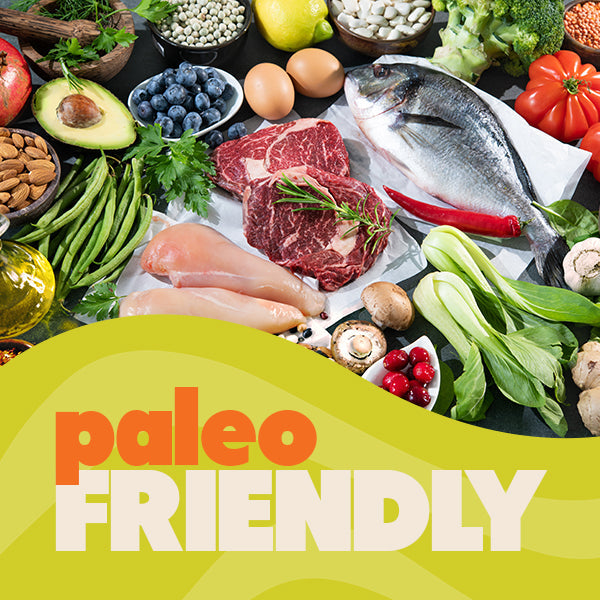 Heathy Paleo Friendly Snacks for the whole family