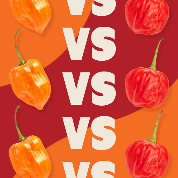 Difference between Scotch Bonnet and Habanero