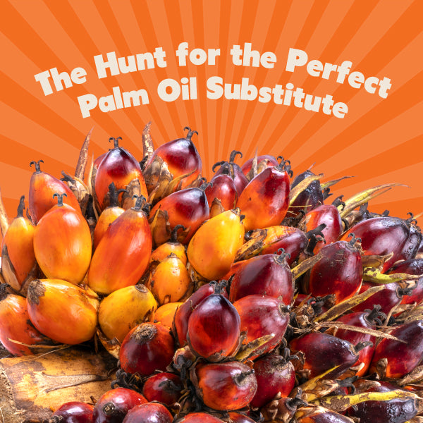 The Hunt for the Perfect Palm Oil Substitute