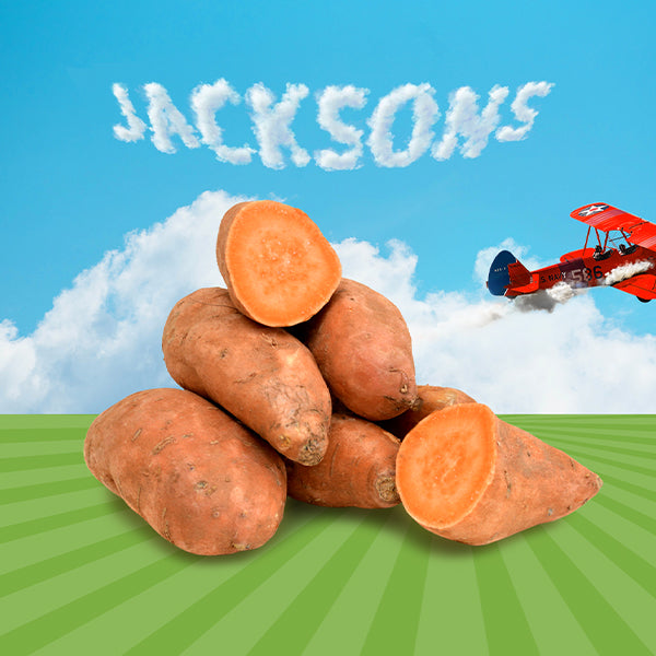 Plane flying over sweet potatoes writing "Jackson's" in the sky