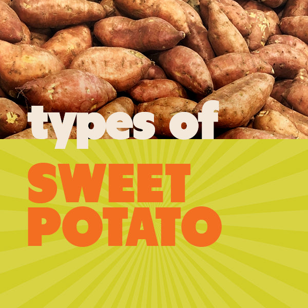 graphic for guide on types of sweet potatoes