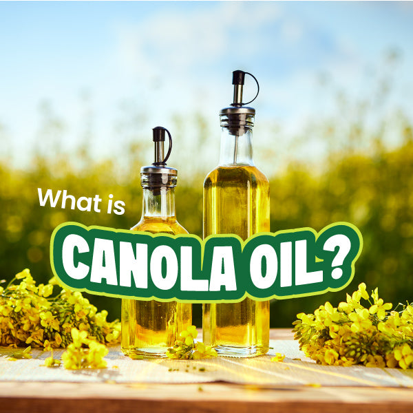 Blog graphic with text "What is Canola Oil?"