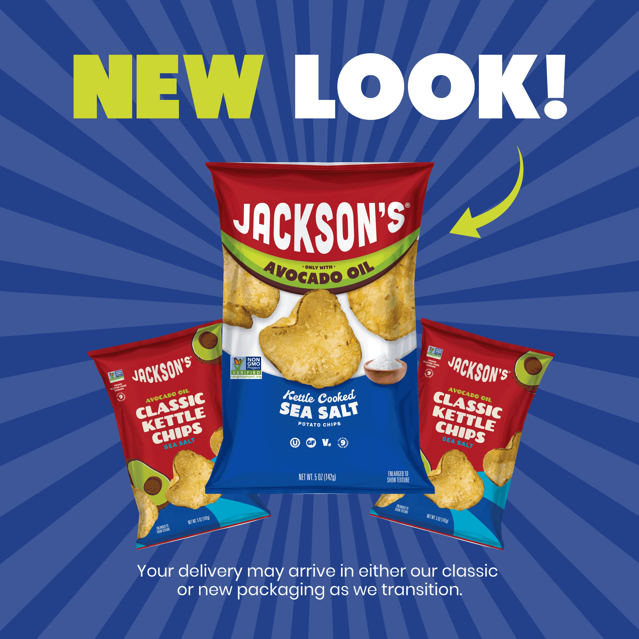 Jackson's Sea Salt Classic Kettle Chip in Avocado Oil 5oz (Pack of