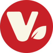 Vegan Chips